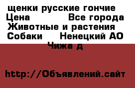 щенки русские гончие › Цена ­ 4 000 - Все города Животные и растения » Собаки   . Ненецкий АО,Чижа д.